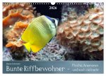 Bunte Riffbewohner - Fische, Anemonen und noch viel mehr (Wandkalender 2026 DIN A3 quer), CALVENDO Monatskalender