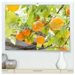 Emotionale Momente: Orangen & Zitronen. (hochwertiger Premium Wandkalender 2026 DIN A2 quer), Kunstdruck in Hochglanz