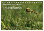 Besucher im Garten - Laubfrösche (Tischkalender 2026 DIN A5 quer), CALVENDO Monatskalender