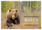 Magie des Augenblicks - Bären in nordischen Wäldern (Wandkalender 2026 DIN A3 quer), CALVENDO Monatskalender