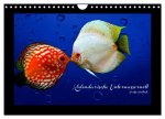 Kalendarische Unterwasserwelt (Wandkalender 2026 DIN A4 quer), CALVENDO Monatskalender