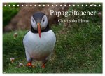 Papageitaucher Clowns der Meere (Tischkalender 2026 DIN A5 quer), CALVENDO Monatskalender