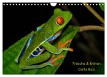 Frösche & Kröten Costa Rica (Wandkalender 2026 DIN A4 quer), CALVENDO Monatskalender