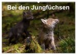 Bei den Jungfüchsen (Wandkalender 2026 DIN A2 quer), CALVENDO Monatskalender