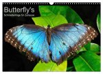 Butterfly's - Schmetterlinge für Zuhause (Wandkalender 2026 DIN A3 quer), CALVENDO Monatskalender