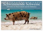 Schwimmende Schweine (Tischkalender 2026 DIN A5 quer), CALVENDO Monatskalender