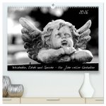 Weisheiten, Zitate und Sprüche - Ein Jahr voller Gedanken 2026 (hochwertiger Premium Wandkalender 2026 DIN A2 quer), Kunstdruck in Hochglanz