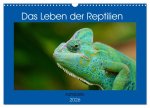 Das Leben der Reptilien (Wandkalender 2026 DIN A3 quer), CALVENDO Monatskalender