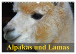 Alpakas und Lamas (Wandkalender 2026 DIN A3 quer), CALVENDO Monatskalender