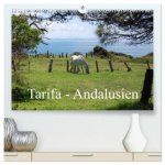Tarifa - Andalusien (hochwertiger Premium Wandkalender 2026 DIN A2 quer), Kunstdruck in Hochglanz