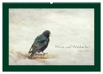 Stare und Weisheiten (Wandkalender 2026 DIN A2 quer), CALVENDO Monatskalender