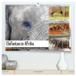 Elefanten in Afrika (hochwertiger Premium Wandkalender 2026 DIN A2 quer), Kunstdruck in Hochglanz