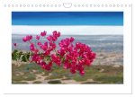 Fuerteventura (Wandkalender 2026 DIN A4 quer), CALVENDO Monatskalender