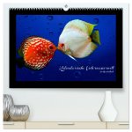 Kalendarische Unterwasserwelt (hochwertiger Premium Wandkalender 2026 DIN A2 quer), Kunstdruck in Hochglanz