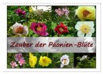 Zauber der Päonien-Blüte (Wandkalender 2026 DIN A3 quer), CALVENDO Monatskalender