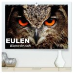 Eulen. Wächter der Nacht (hochwertiger Premium Wandkalender 2026 DIN A2 quer), Kunstdruck in Hochglanz