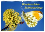Wunderschöne Schmetterlinge (Wandkalender 2026 DIN A3 quer), CALVENDO Monatskalender