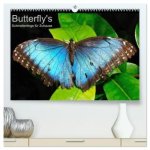 Butterfly's - Schmetterlinge für Zuhause (hochwertiger Premium Wandkalender 2026 DIN A2 quer), Kunstdruck in Hochglanz