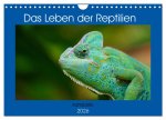 Das Leben der Reptilien (Wandkalender 2026 DIN A4 quer), CALVENDO Monatskalender