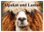 Alpakas und Lamas (Tischkalender 2026 DIN A5 quer), CALVENDO Monatskalender