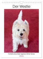Der Westie - Portrait eines West Highland White Terriers (Wandkalender 2026 DIN A4 hoch), CALVENDO Monatskalender