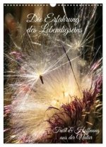 Die Erfahrung des Lebendigseins (Wandkalender 2026 DIN A3 hoch), CALVENDO Monatskalender