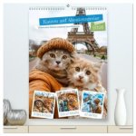 Katzen auf Abenteuerreise - Globetrotter-Katzen entdecke ferne Kulturen (hochwertiger Premium Wandkalender 2026 DIN A2 hoch), Kunstdruck in Hochglanz