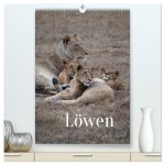 Löwen in Sabi Sands (hochwertiger Premium Wandkalender 2026 DIN A2 hoch), Kunstdruck in Hochglanz