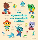 NIRE EGUNEROKOA ETA EMOZIOAK IRUDITAN