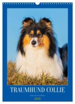 Traumhund Collie - Liebe auf vier Pfoten (Wandkalender 2026 DIN A3 hoch), CALVENDO Monatskalender