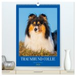 Traumhund Collie - Liebe auf vier Pfoten (hochwertiger Premium Wandkalender 2026 DIN A2 hoch), Kunstdruck in Hochglanz