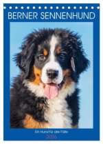 Berner Sennenhund - Ein Hund für alle Fälle (Tischkalender 2026 DIN A5 hoch), CALVENDO Monatskalender