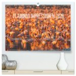 Flamingo Impressionen 2026 (hochwertiger Premium Wandkalender 2026 DIN A2 quer), Kunstdruck in Hochglanz