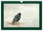 Stare und Weisheiten (Wandkalender 2026 DIN A4 quer), CALVENDO Monatskalender