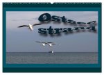 Ostsee-Strand (Wandkalender 2026 DIN A2 quer), CALVENDO Monatskalender