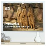 Erdmännchen - Zusammen sind wir stark (hochwertiger Premium Wandkalender 2026 DIN A2 quer), Kunstdruck in Hochglanz