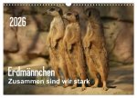 Erdmännchen - Zusammen sind wir stark (Wandkalender 2026 DIN A3 quer), CALVENDO Monatskalender