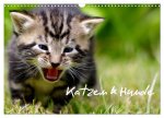 Katzen & Hunde (Wandkalender 2026 DIN A3 quer), CALVENDO Monatskalender