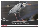 Heimische Tiere (Wandkalender 2026 DIN A2 quer), CALVENDO Monatskalender