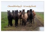Charakterköpfe Islandpferde (Wandkalender 2026 DIN A3 quer), CALVENDO Monatskalender