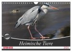 Heimische Tiere (Wandkalender 2026 DIN A4 quer), CALVENDO Monatskalender