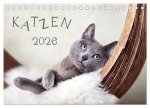 Katzen 2026 (Tischkalender 2026 DIN A5 quer), CALVENDO Monatskalender