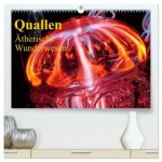 Quallen - Ätherische Wunderwesen (hochwertiger Premium Wandkalender 2026 DIN A2 quer), Kunstdruck in Hochglanz