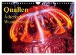 Quallen - Ätherische Wunderwesen (Wandkalender 2026 DIN A4 quer), CALVENDO Monatskalender