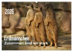 Erdmännchen - Zusammen sind wir stark (Wandkalender 2026 DIN A2 quer), CALVENDO Monatskalender