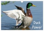 Duck Power (Wandkalender 2026 DIN A4 quer), CALVENDO Monatskalender