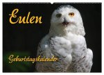 Eulen (Wandkalender 2026 DIN A2 quer), CALVENDO Monatskalender