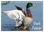 Duck Power (Tischkalender 2026 DIN A5 quer), CALVENDO Monatskalender