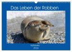 Das Leben der Robben (Wandkalender 2026 DIN A3 quer), CALVENDO Monatskalender