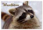 Waschbären (Tischkalender 2026 DIN A5 quer), CALVENDO Monatskalender